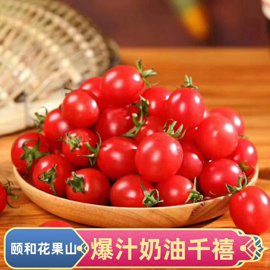颐和花果山【蜂蜜玲珑千禧】酸甜多汁新鲜采摘应季水果奶油小番茄
