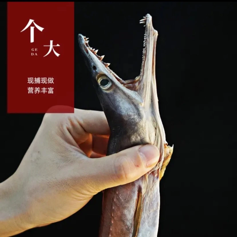 捕鱼人新品舟山野生风鳗到手4斤 收到湿的冷冻保存江浙沪顺丰包邮
