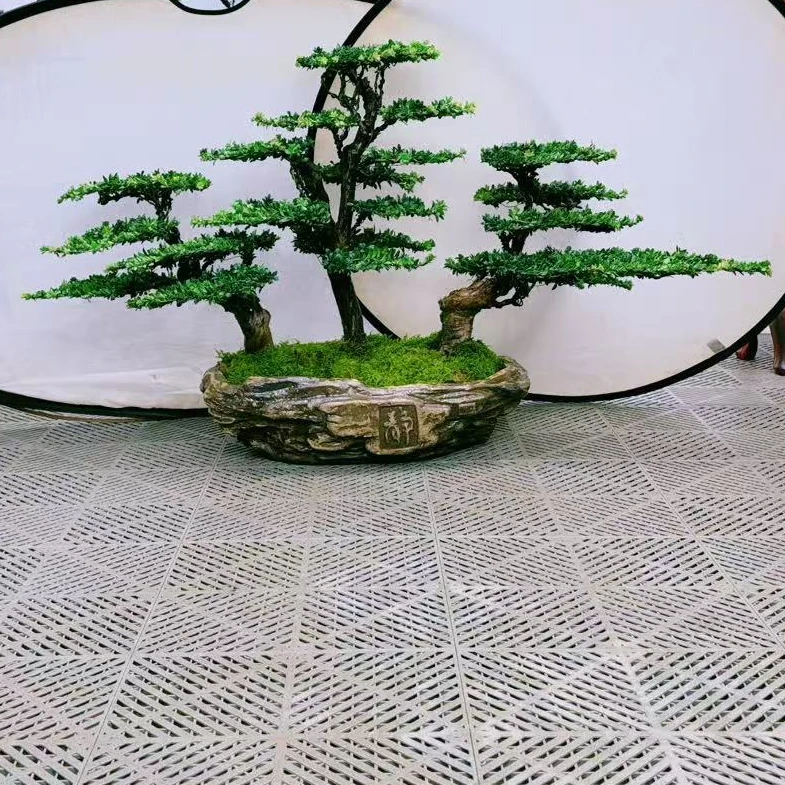 静寻盆景(16号)老桩丛林红芽珍珠罗汉松 迎客松 高80/宽140