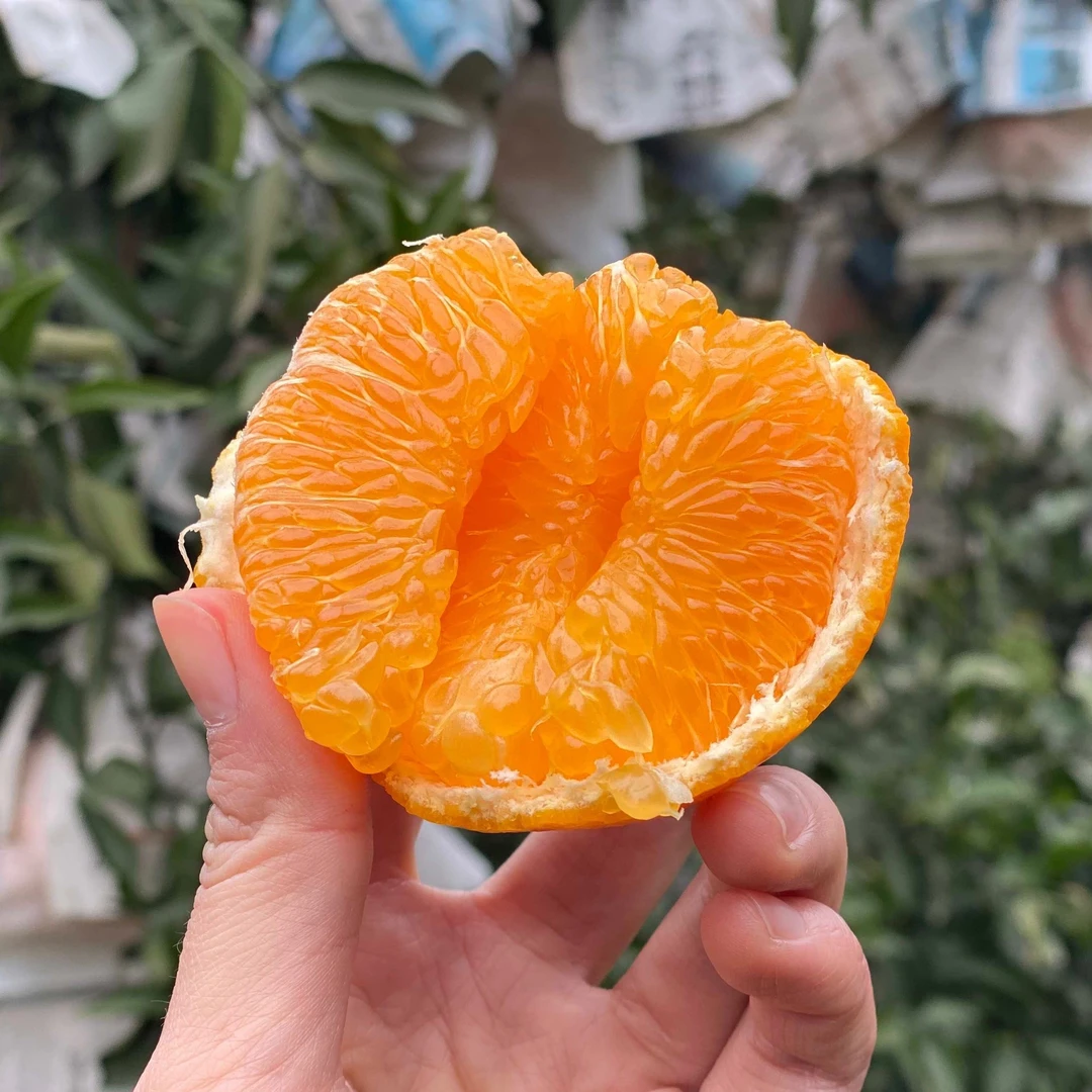 【京东/顺丰】正宗四川春见耙耙柑4.5-8斤手剥橘粑粑柑丑橘当季水果