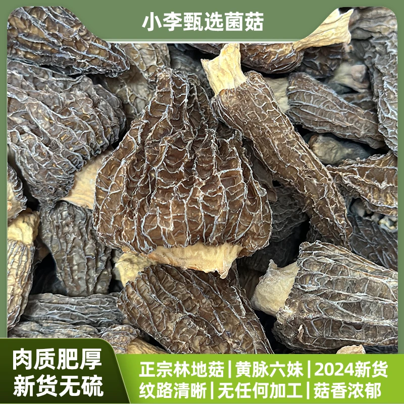 【特价】4-8羊肚菌 黄脉六妹 头茬肉厚菇香浓郁 营养 特产