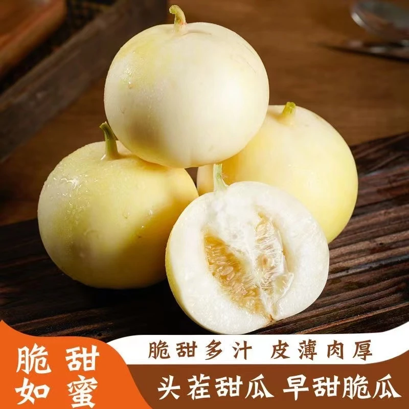 【甜瓜】山东头茬早甜脆瓜小蜜蜂应季水果非白玉甜瓜薄皮口感香脆甜