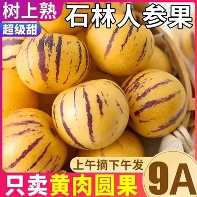 正宗石林人参果当季特大果圆果应季新鲜水果低糖黄肉黄心树熟整箱
