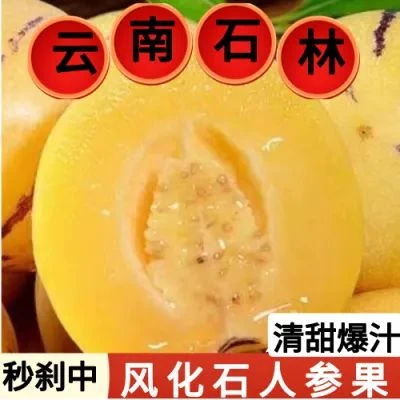 【原产地】民勤人参果包邮当季新鲜孕妇水果沙漠特产黄肉人生果