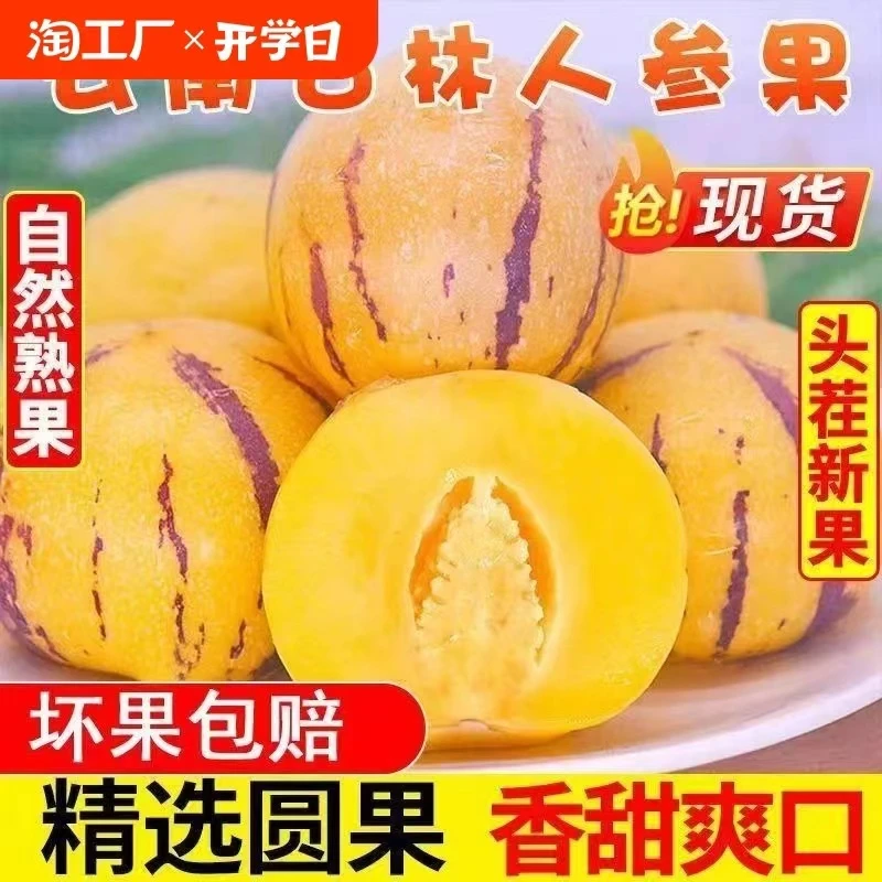 百果园甑选石林人参果树上成熟黄肉大果长果孕妇老人水果低糖