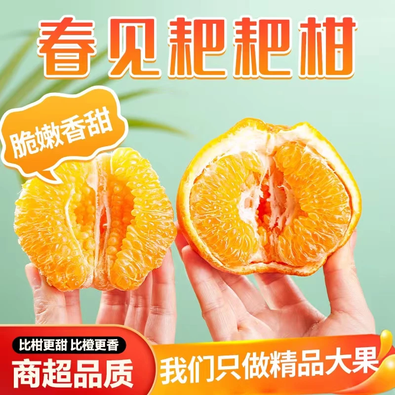 【坏果包赔】正宗眉山春见耙耙柑自然成熟新鲜应季水果香甜鲜嫩爆汁