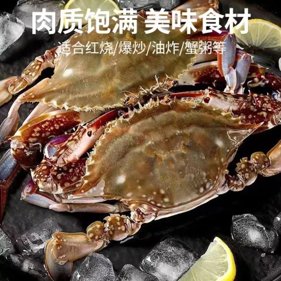上岸肥美梭子蟹4-5只/斤  3斤