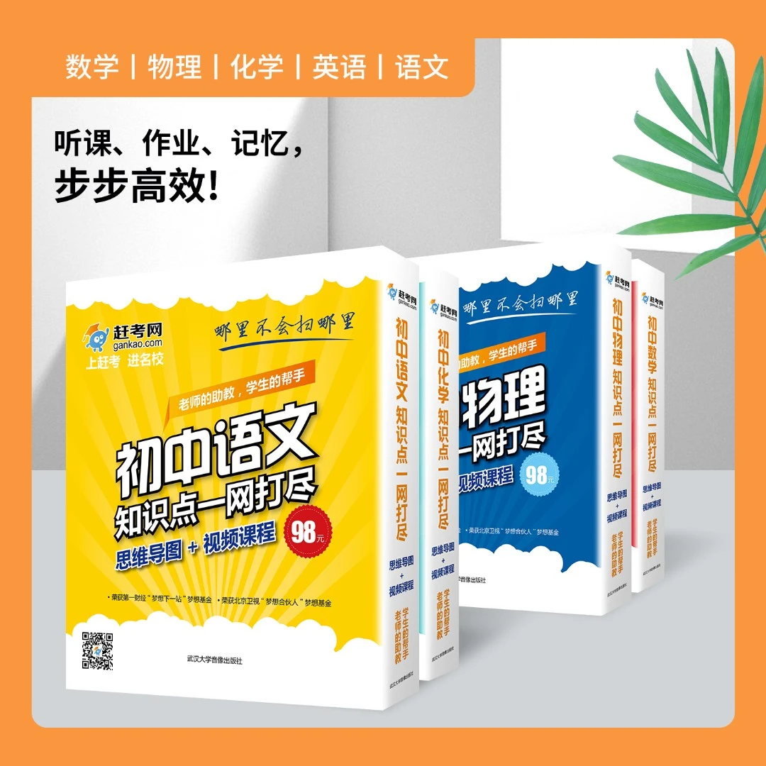 初中知识点一网打尽 思维导图+串讲光盘