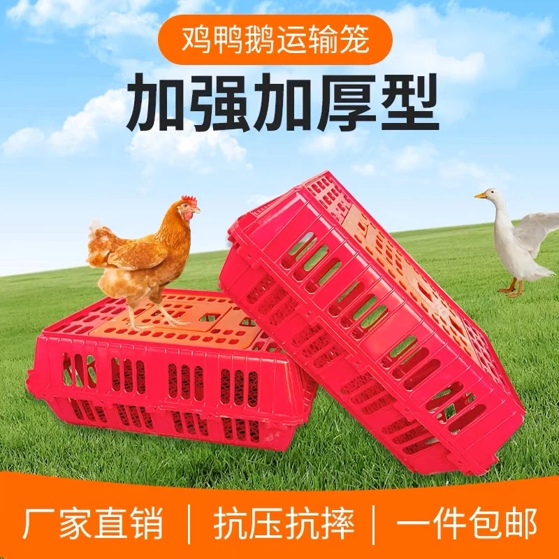 禽用鸡框鸡笼运输笼塑料家禽周转箱鸡鸭鹅通用加厚笼子