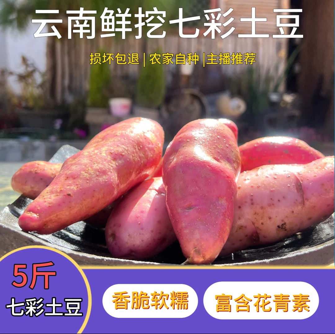 丽江七彩土豆，云南特产、新鲜、营养、农家、切片、细腻、自种