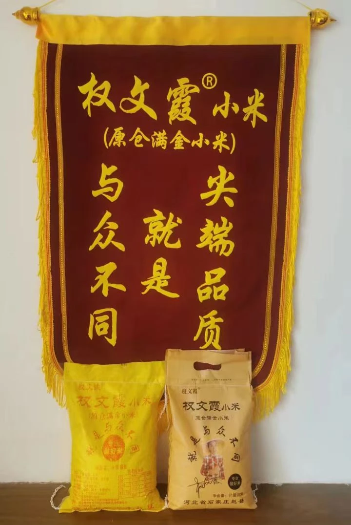 权文霞小米（店长推荐）颗粒饱满品质上佳