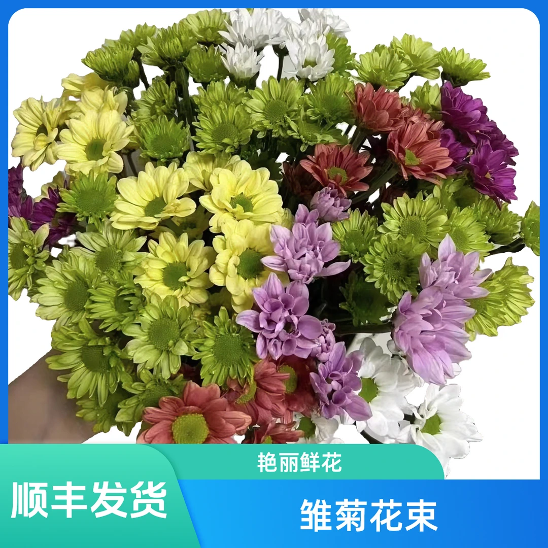 小雏菊鲜花云南基地直发网红小菊花家庭办公室花瓶插花20%不售后