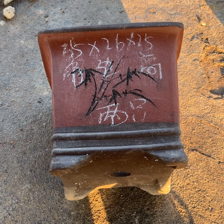 红陶20CM（含）-50CM（不含）