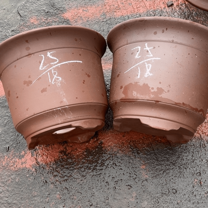 红陶20CM（含）-50CM（不含）