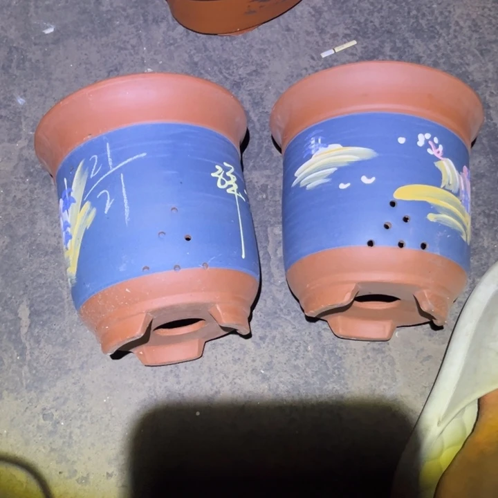 红陶20CM（含）-50CM（不含）