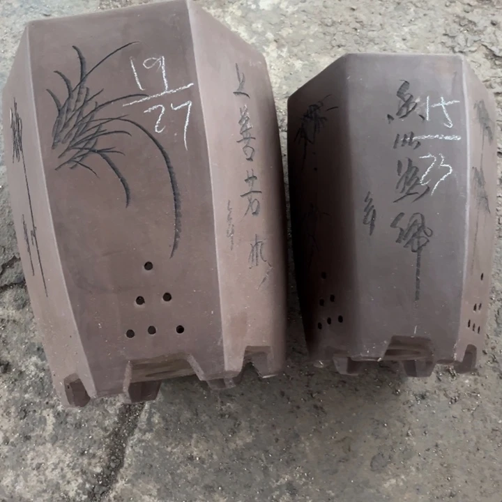 红陶20CM（含）-50CM（不含）