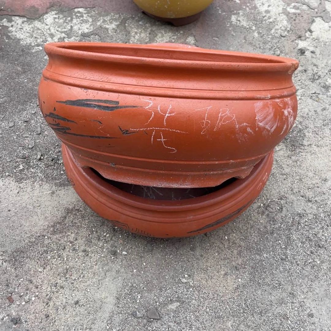 红陶20CM（含）-50CM（不含）
