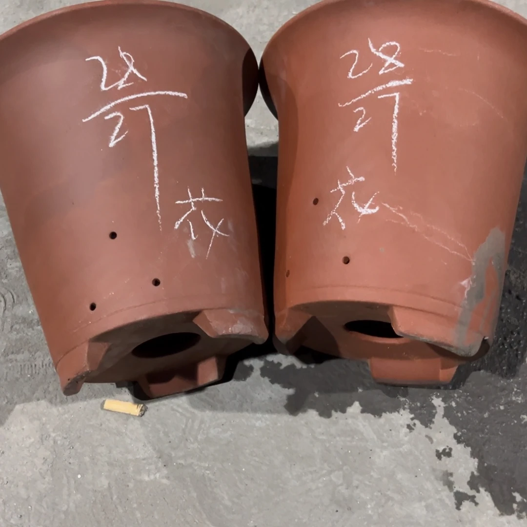 红陶20CM（含）-50CM（不含）