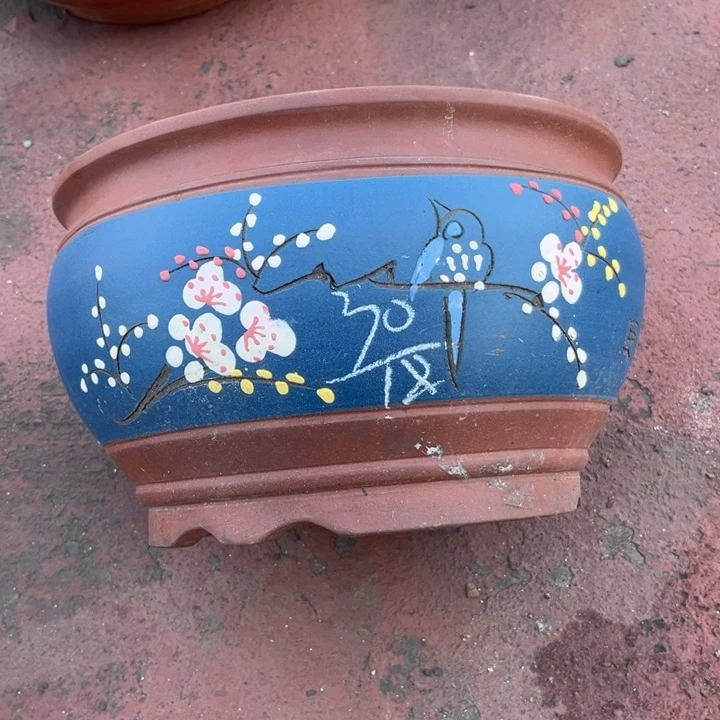 红陶20CM（含）-50CM（不含）