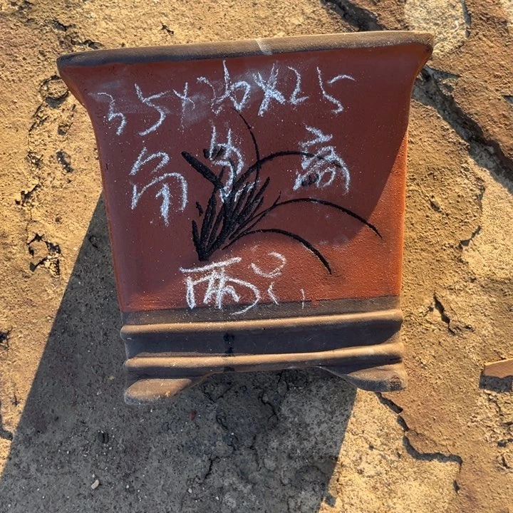 红陶20CM（含）-50CM（不含）