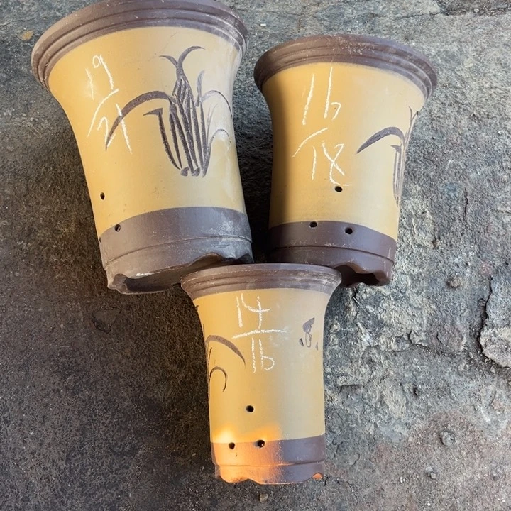 红陶20CM（含）-50CM（不含）