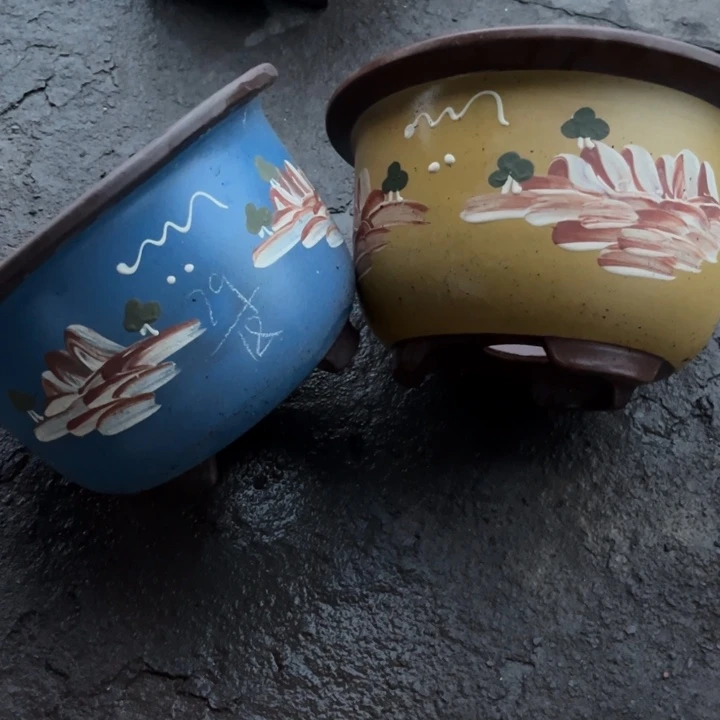 红陶20CM（含）-50CM（不含）