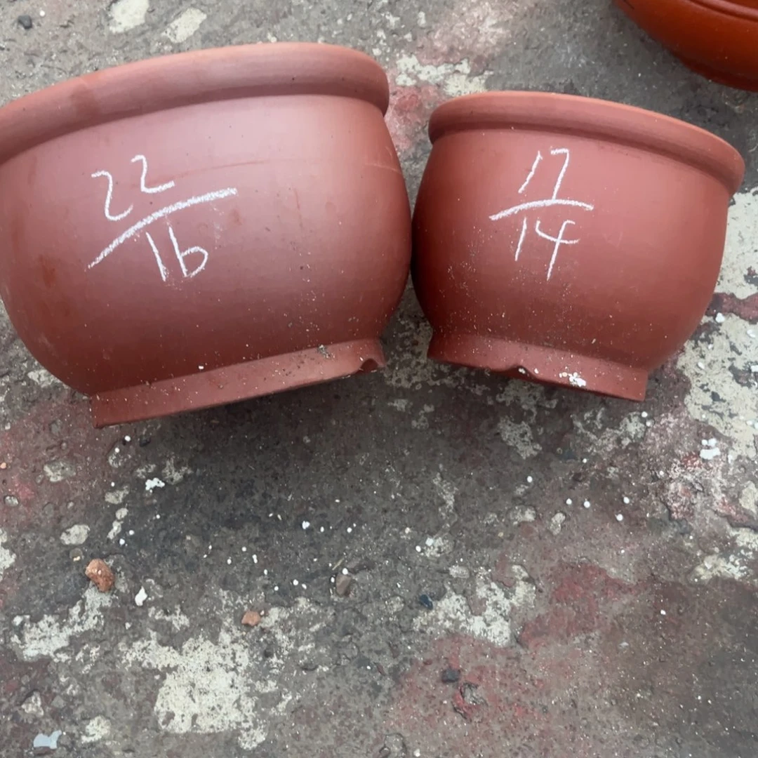 红陶20CM（含）-50CM（不含）