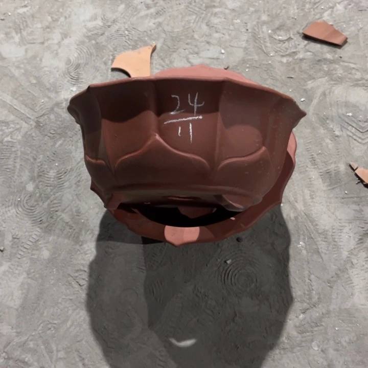 红陶20CM（含）-50CM（不含）