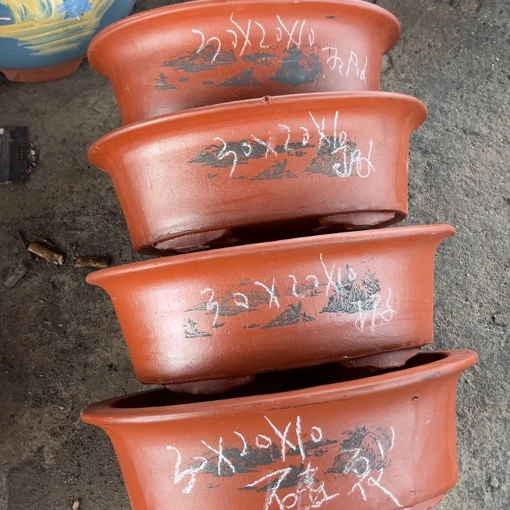 红陶20CM（含）-50CM（不含）