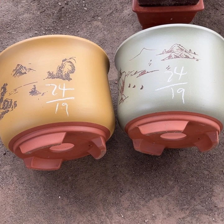 红陶20CM（含）-50CM（不含）