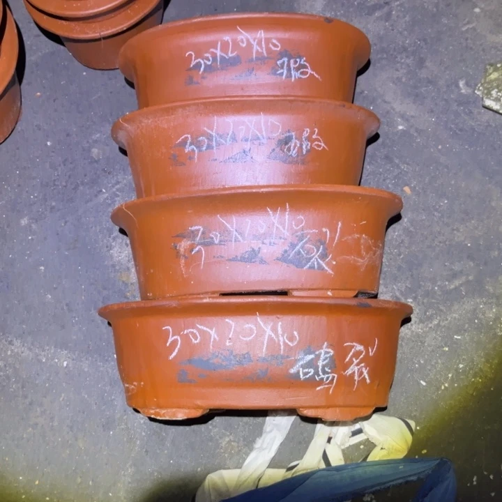 红陶20CM（含）-50CM（不含）