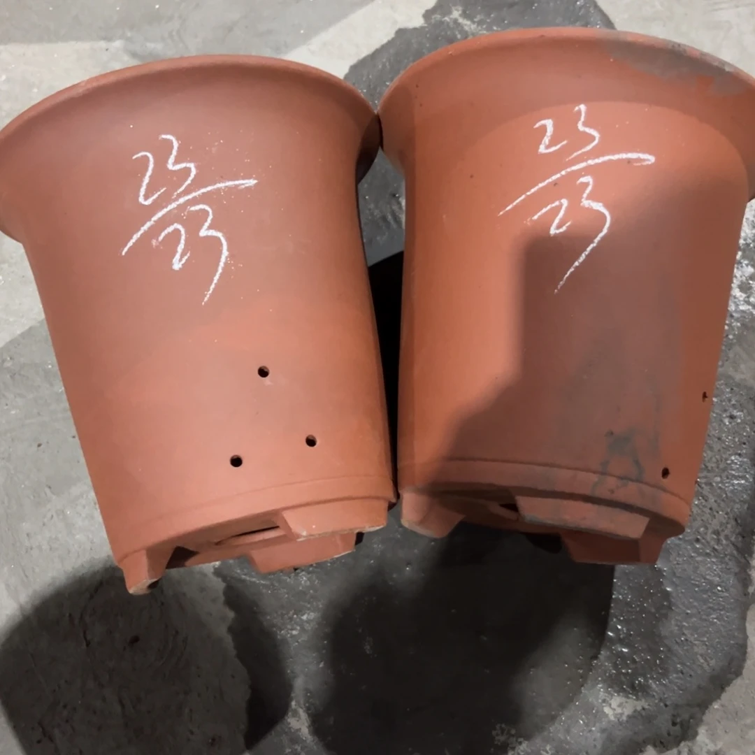 红陶20CM（含）-50CM（不含）