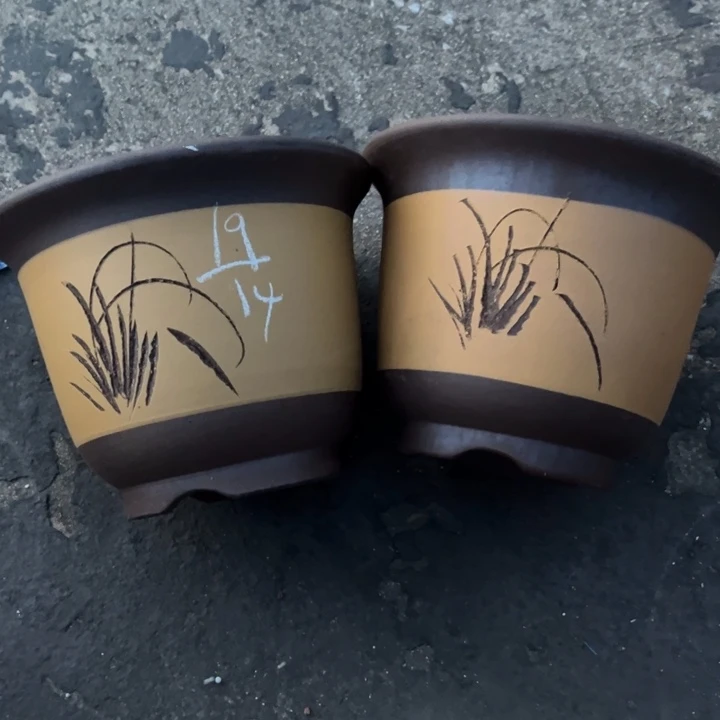 红陶20CM（含）-50CM（不含）