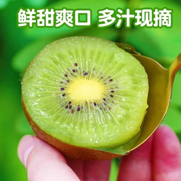 精品绿心猕猴桃现摘现发新鲜应季水果（放软食用）