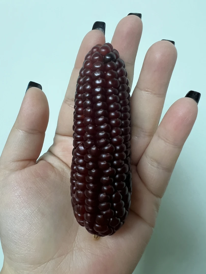 仙er文阁@一物一拍小玉米