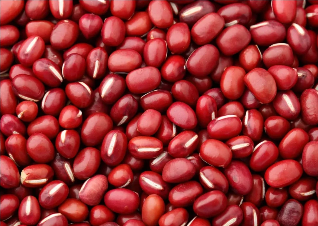 【大集帮买】红小豆 现场直播东北农村赶集蔬菜1/10斤农产品
