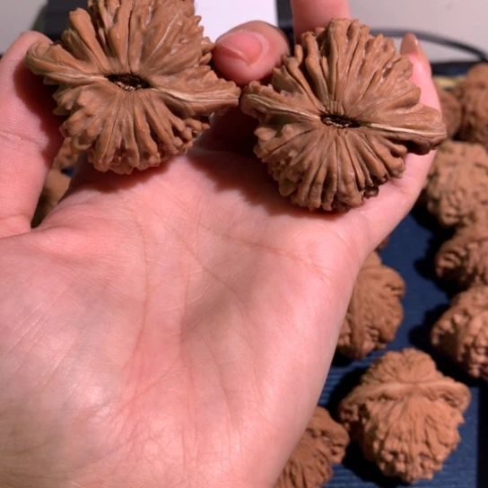 文玩核桃把件或***。四座楼狮子头