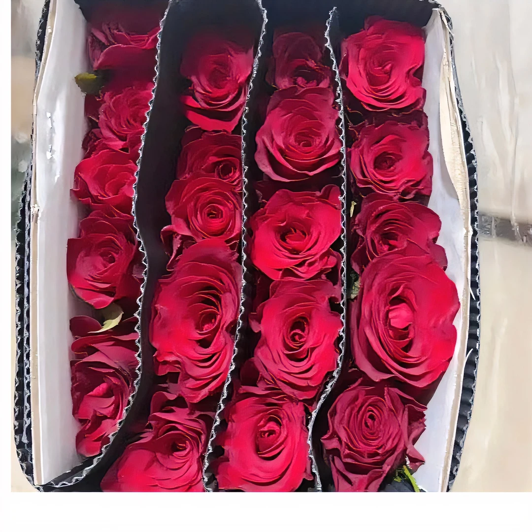 云南鲜花---高原红