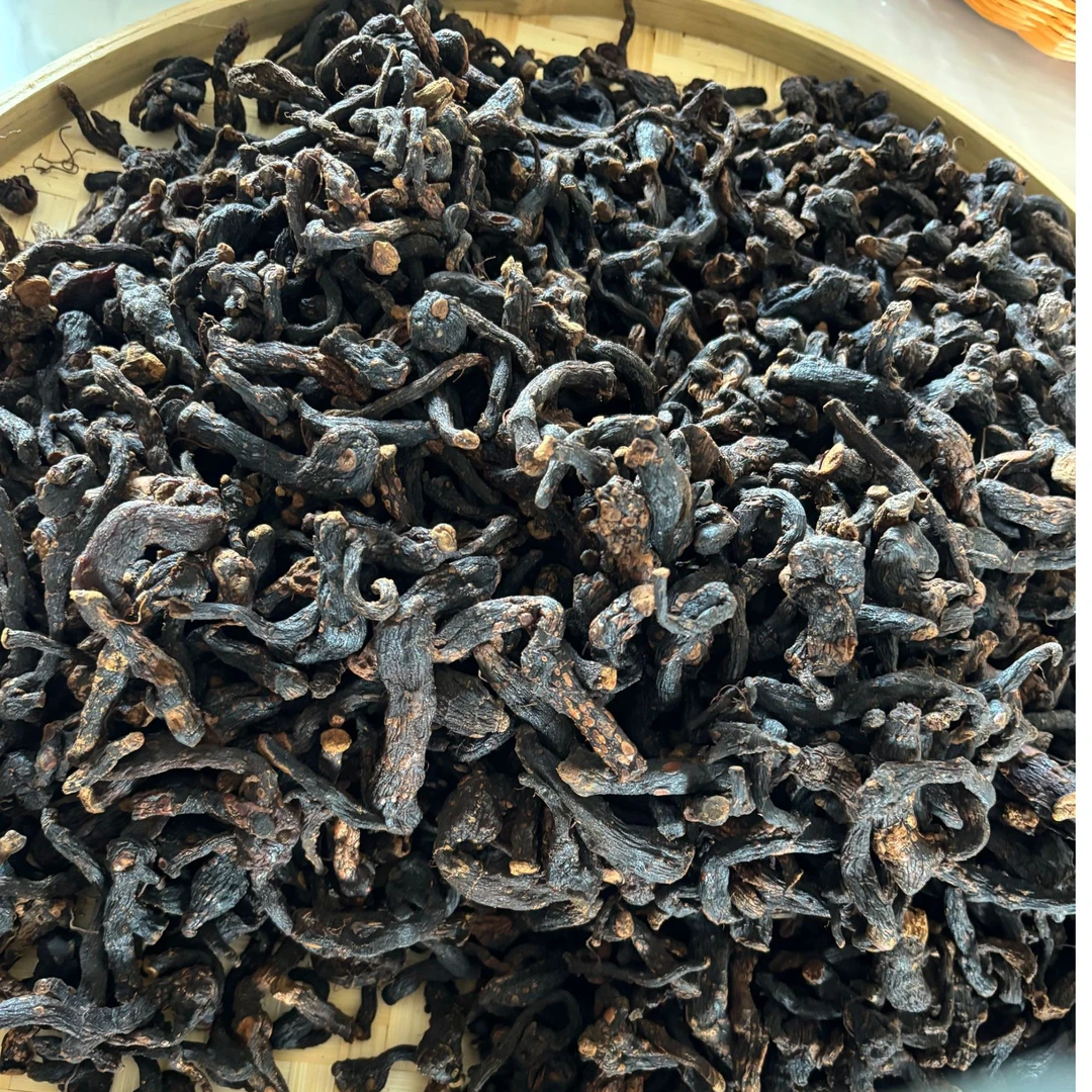 老虎姜 煲汤 泡水  深山老虎姜