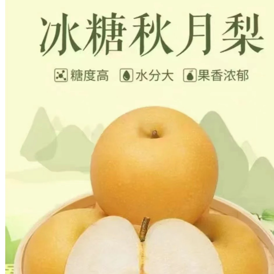 宁陵秋月4.5斤包邮脆甜无渣秋月梨大果