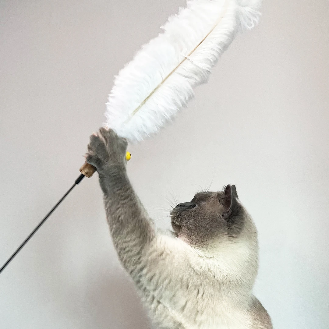 【替换头，无杆】嗗哩嗗哩 木天蓼鸵鸟羽毛逗猫棒钓猫神器玩具多色