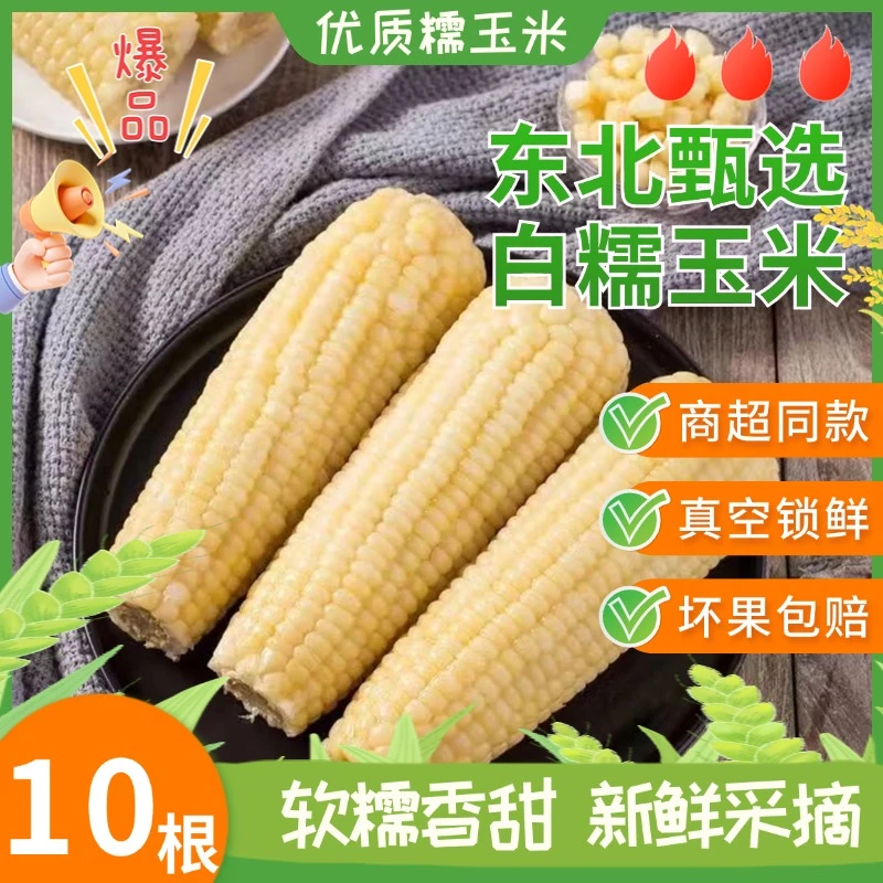 【试吃2支】东北粘糯玉米白玉米260g*10支整5.5斤左右产地直发