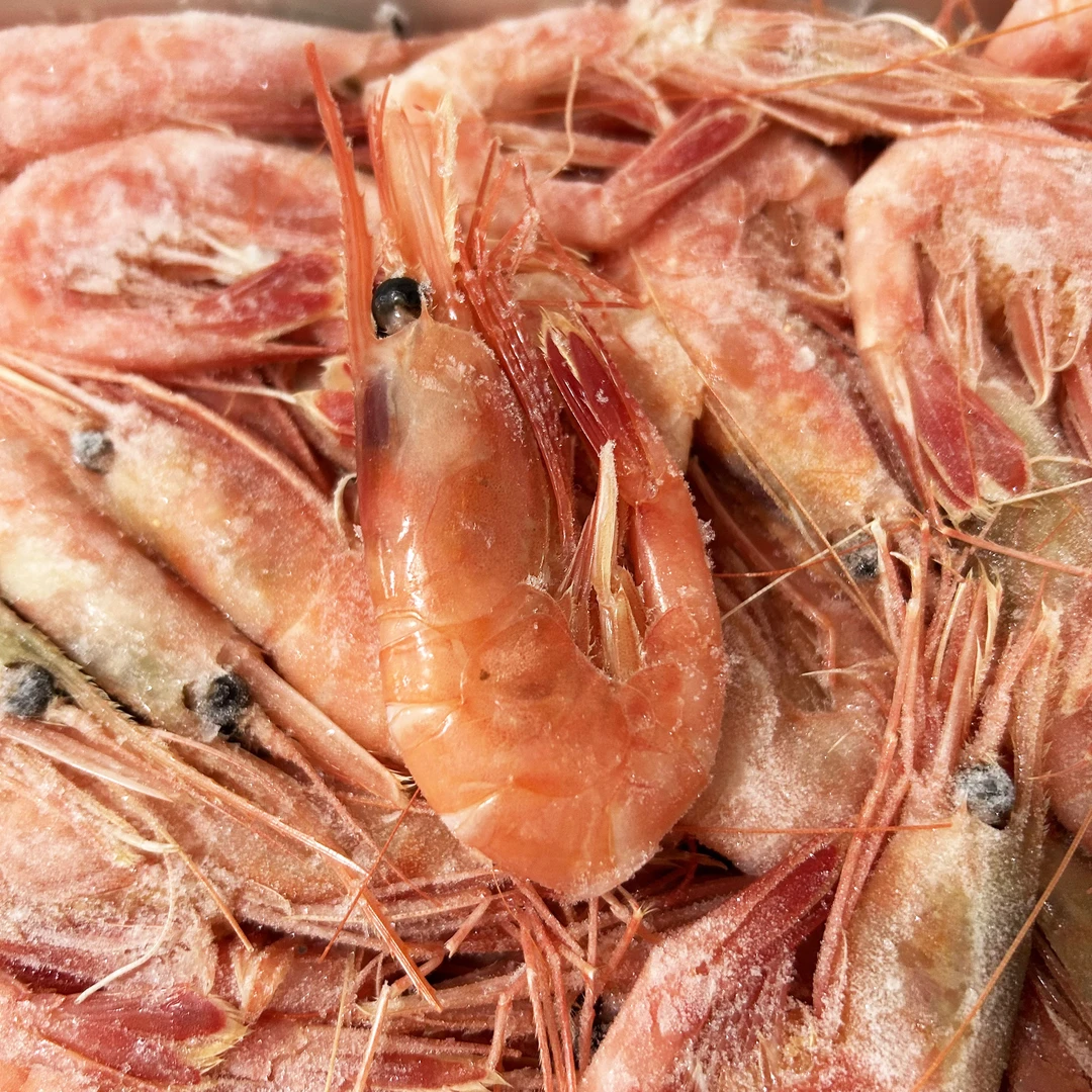 【原盒原装】俄罗斯原装进口马加丹大虾生食甜虾冬天冰虾1kg