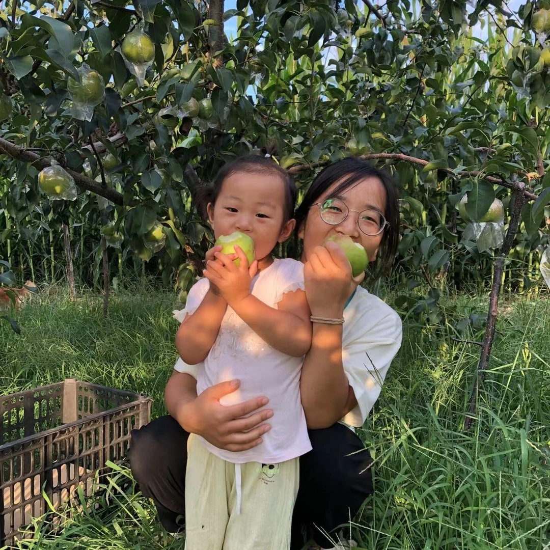 山西玉露香梨爆汁脆爽可口5斤9斤包邮【冷藏保存更好吃】