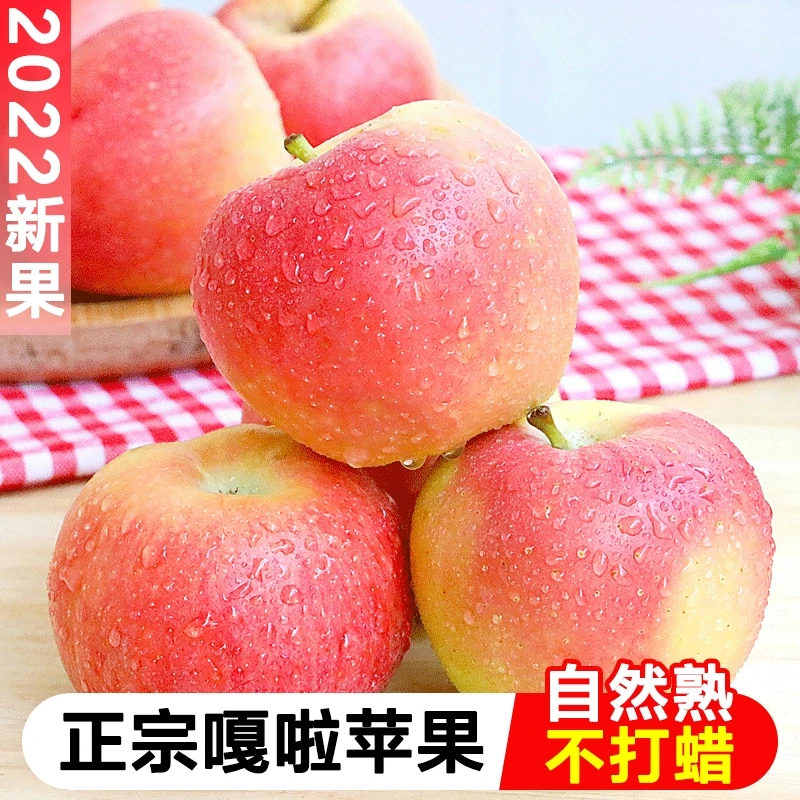 山西早熟苹果5斤包邮