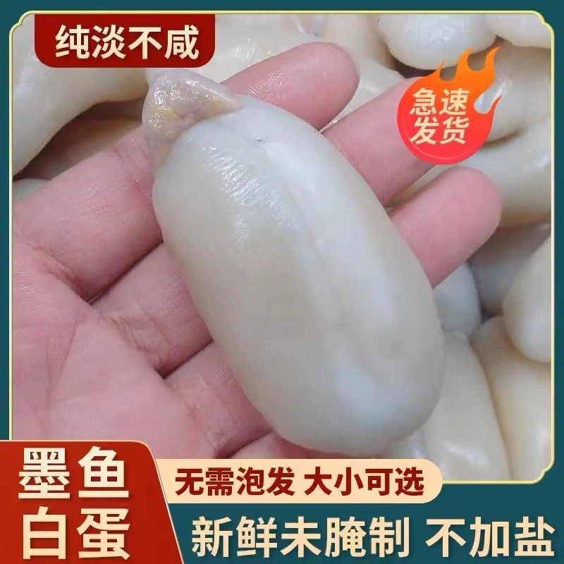 3斤墨鱼双墨鱼蛋台州本地特色【墨鱼双】墨鱼蛋东海特色