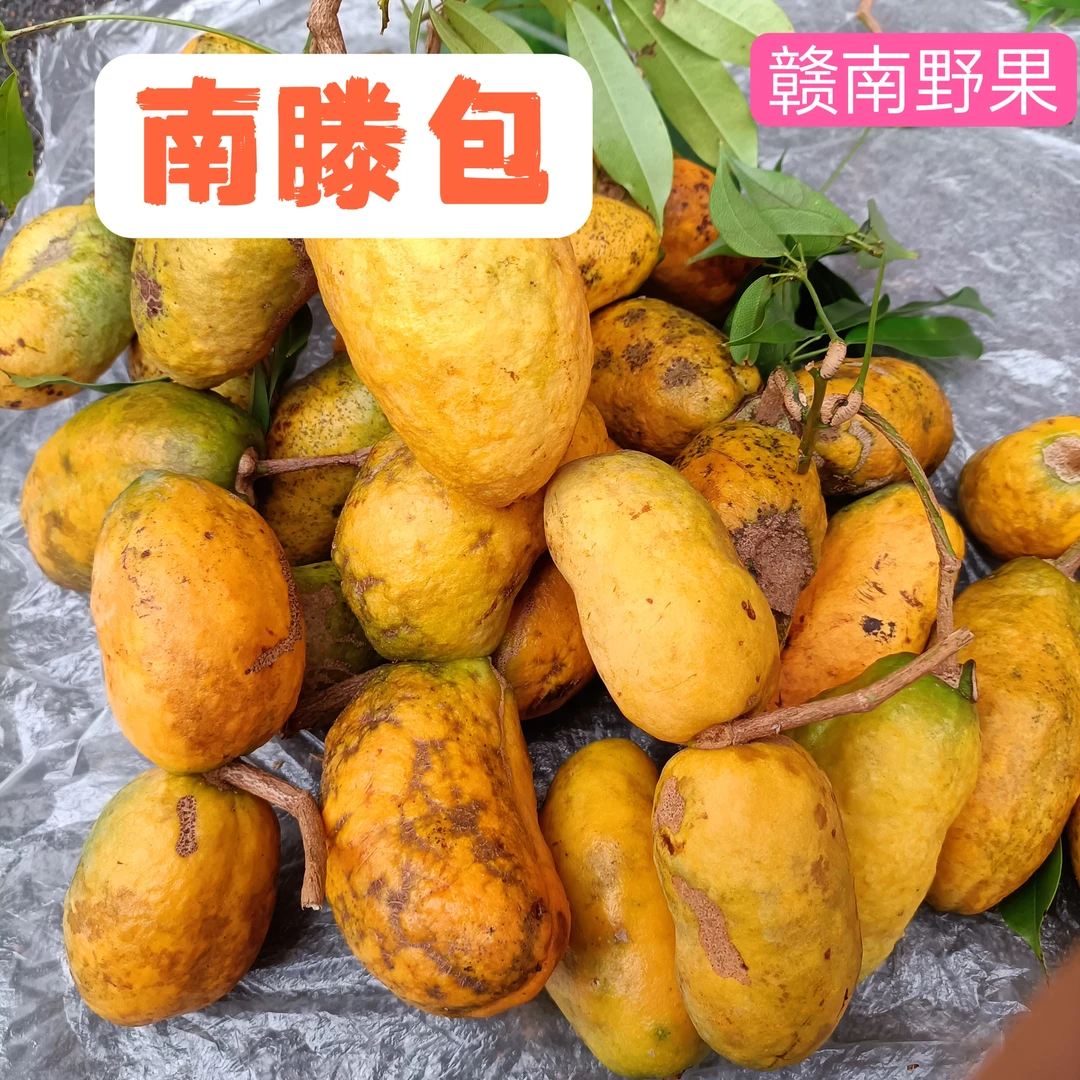 江西赣南赣州新鲜九月黄南藤包牛卵坨九月瓜当季水果
