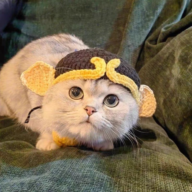 猪八戒宠物帽子猫咪头套狗狗变装痞幼毛线针织英短可爱拍照配饰帽