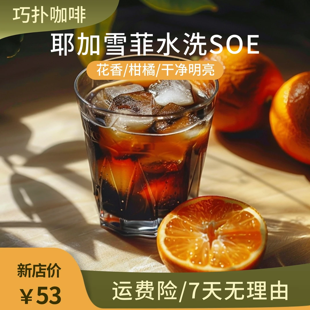 埃塞俄比亚耶加雪菲水洗新鲜精品浅度烘焙单品手冲咖啡豆黑咖啡