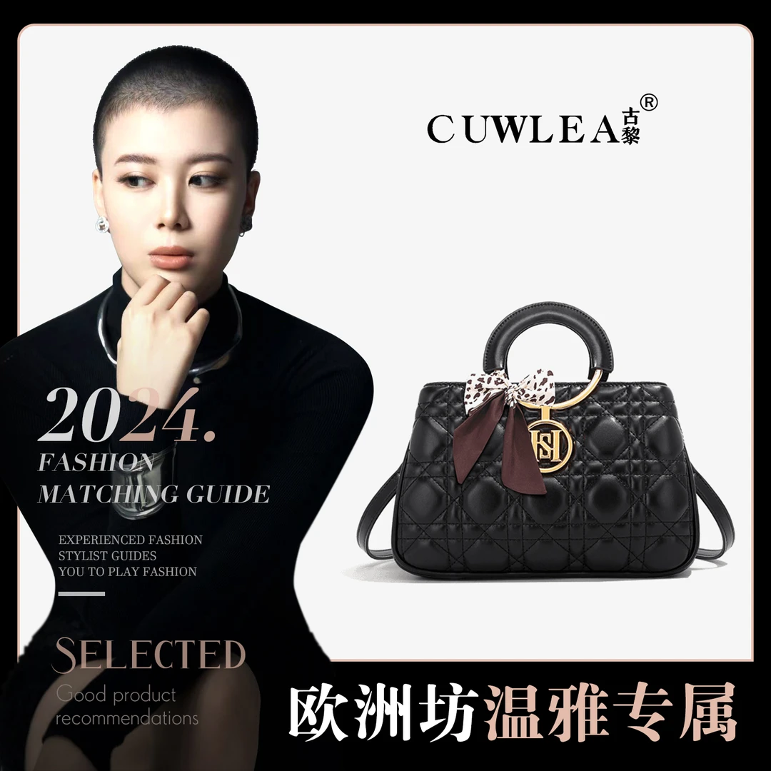 【镇店之宝】2024年新款手提包单肩斜挎手拎包GL-6009-2（送礼盒）